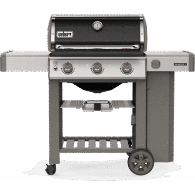 Weber Genesis 2
