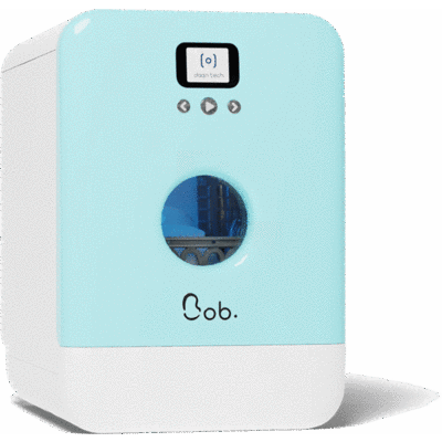 Bob